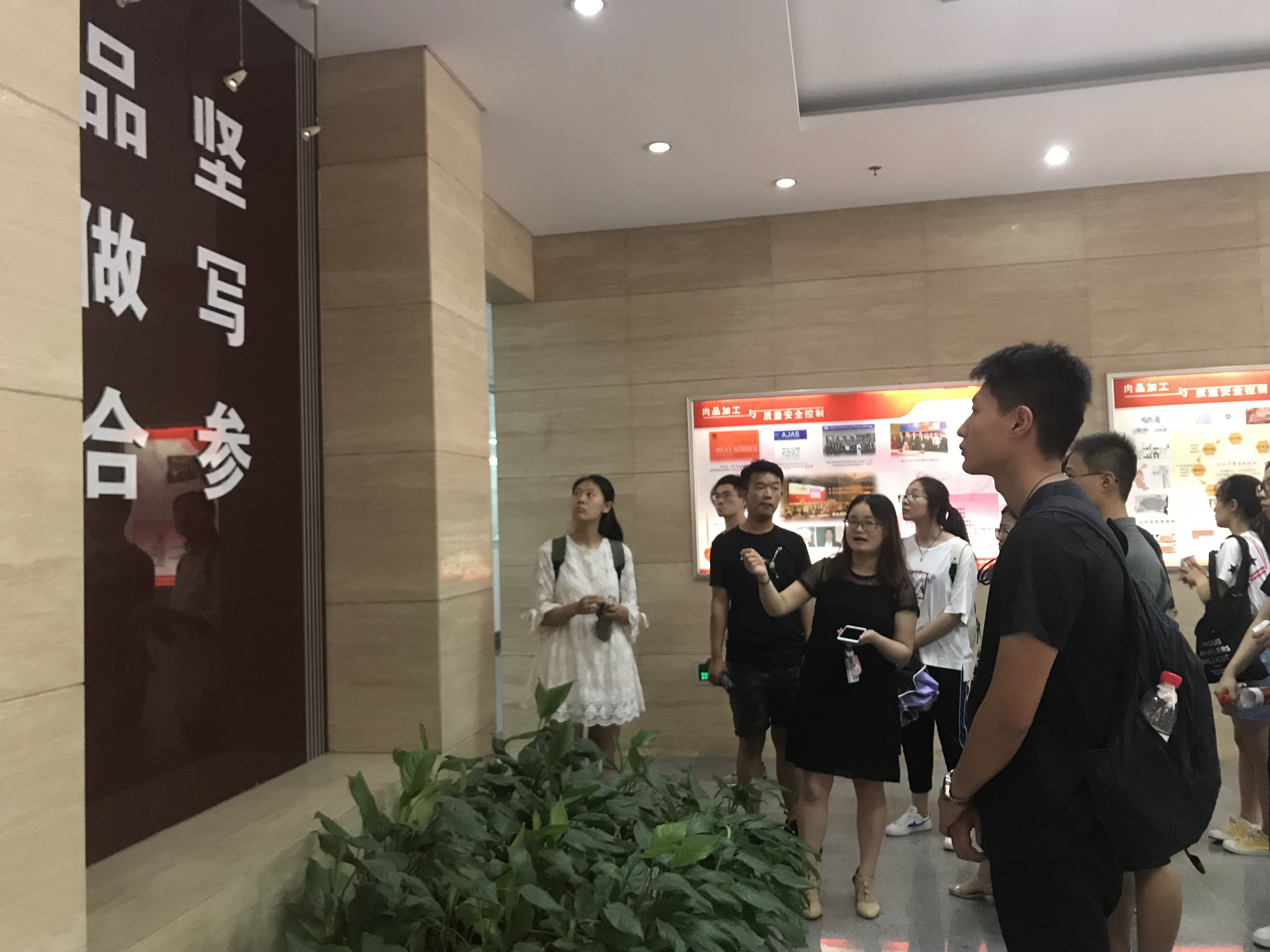 太阳城网络赌博平台