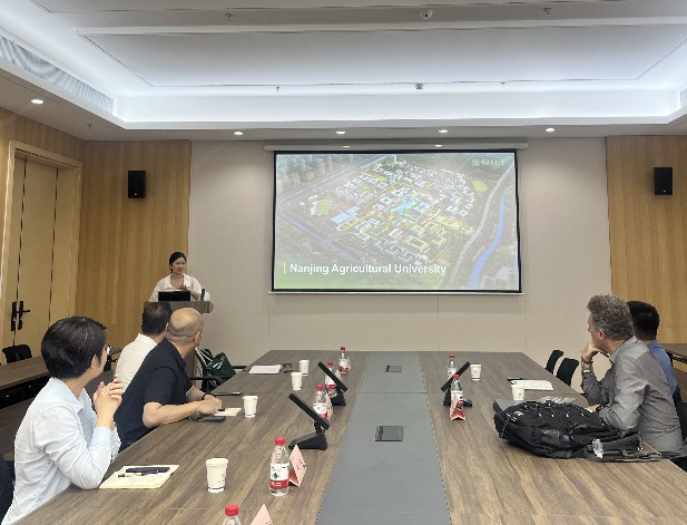 太阳城网络赌博平台